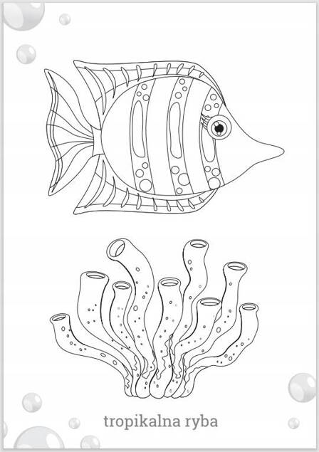 Kolorowanka Maluszkowe Malowanie Zwierzęta Morskie 2+ Skrzat_2