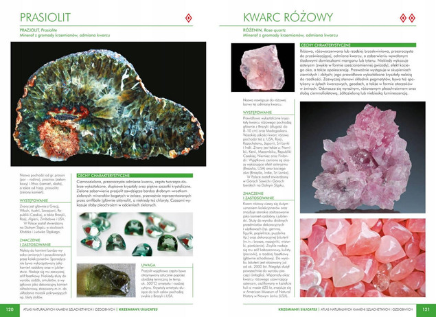 Szczegóły opisu