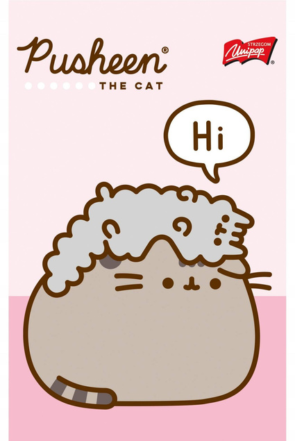 Notes Notatnik A6 50k Kratka PUSHEEN Laminowany Unipap_2