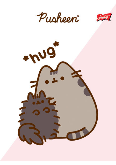 PUSHEEN ZESZYT SZKOLNY A5 32 Kartki Linia Dwukolorowa KOTOROŻEC_1