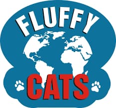 SJO Fluffy Cats