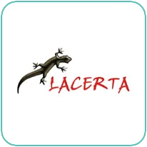 220_lacerta