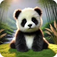 panda_odidodi