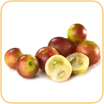 camucamu_smak_odidodi