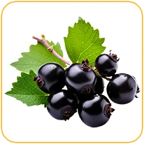 porzeczka_smak_odidodi