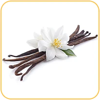 wanilia_smak_odidodi