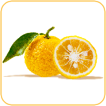 yuzu_smak_odidodi