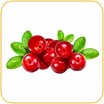 zurawina_smak_odidodi