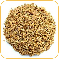 czarny bez