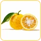 yuzu