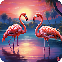 flamingi