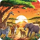 safari