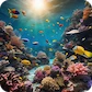 ocean