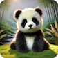 miś panda