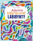 Najbardziej Zakręcone Labirynty Paulina Nachman – Książka dla Dzieci