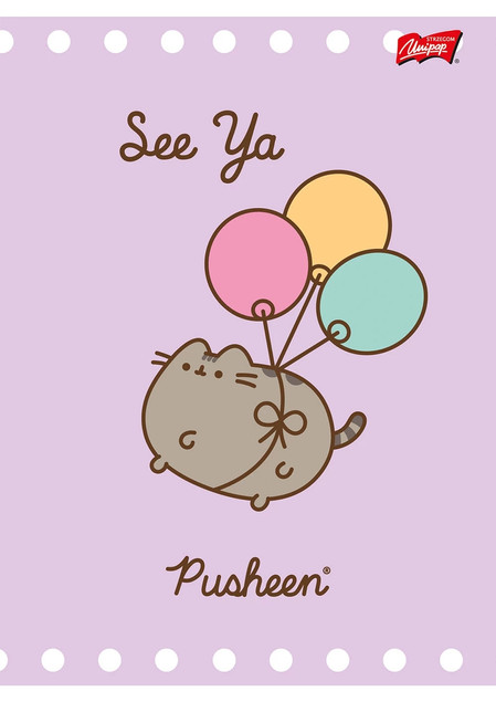 Zeszyt A5 32 kartki - linia Pusheen