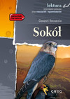 Sokół Giovanni Boccaccio lektury z opracowaniem