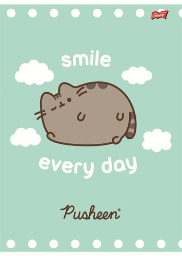 4 x PUSHEEN KOTEK ZESZYT A5/32 w kratkę dla dziewczynki 9735