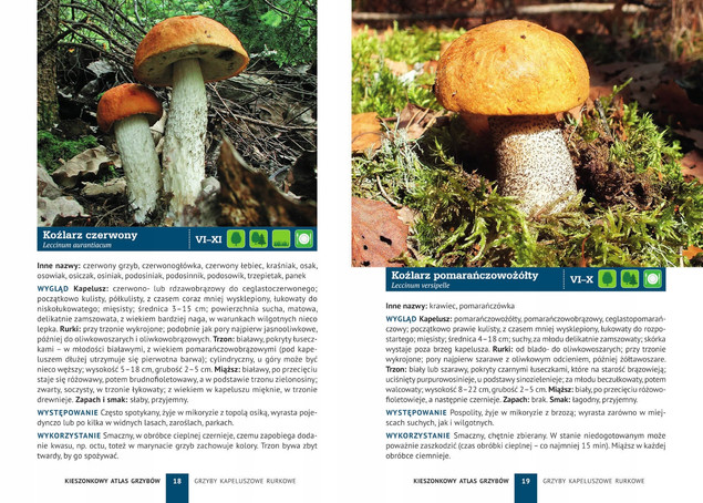 Kieszonkowy atlas grzybów – Patrycja Zarawska