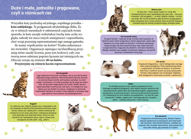 Mała encyklopedia. Koty