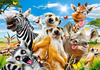 PUZZLE 500 UKŁADANKA ZWIERZĘTA AFRYKI SELFIE SAFARI ZEBRA ŻYRAFA 9+ CASTOR