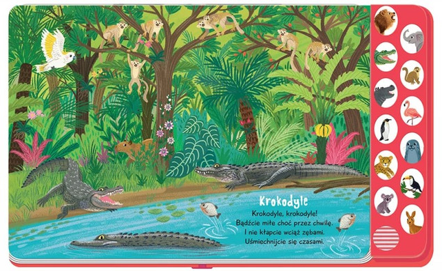 Słucham i poznaję W ZOO – Książeczka z dźwiękami | Anna Podgórska