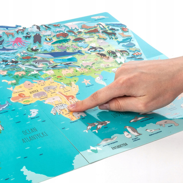 WYKLEJANKA ZWIERZĘTA ŚWIATA + GRA GDZIE ONE ŻYJĄ KIDEA