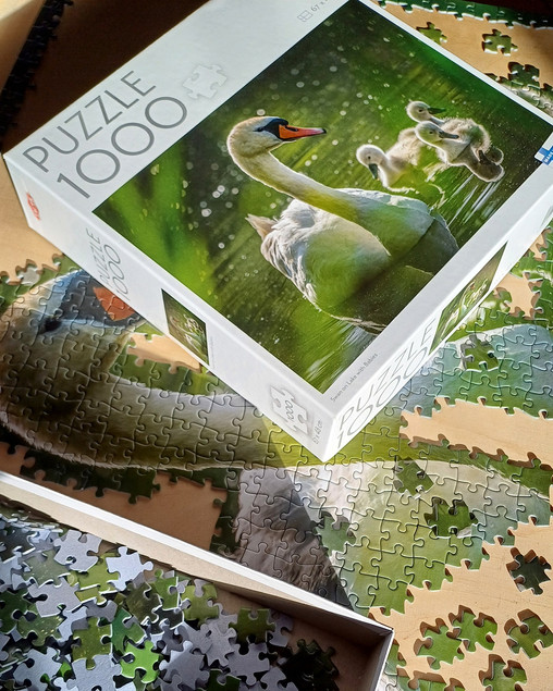 Puzzle 1000 TACTIC Lovers: Łabędź na Jeziorze z Dziećmi