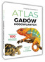 Atlas GADÓW i PŁAZÓW Hodowlanych 100 Gatunków SBM