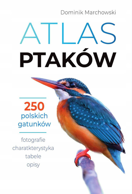 Atlas MOTYLI OWADÓW PTAKÓW Fotografie Opisy SMB (TW)