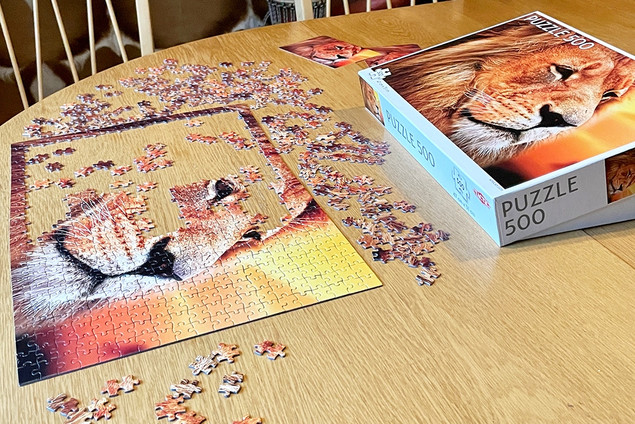 Puzzle Tactic African Lion 500 elementów Lew Afrykański