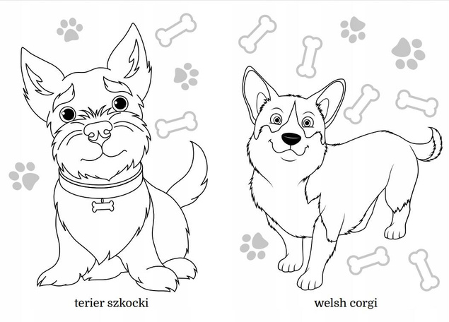 Kolorowanka Maluszkowe Malowanie Małe Pieski Rasowe 2+ Skrzat