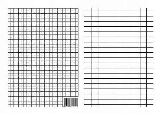 Liniuszek A5 Dwustronny KRATKA LINIA Pomoc Szkolna Interdruk 09306