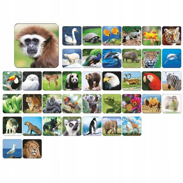 Memory Zoo - gra pamięciowa zwierzęta dla dzieci 5+