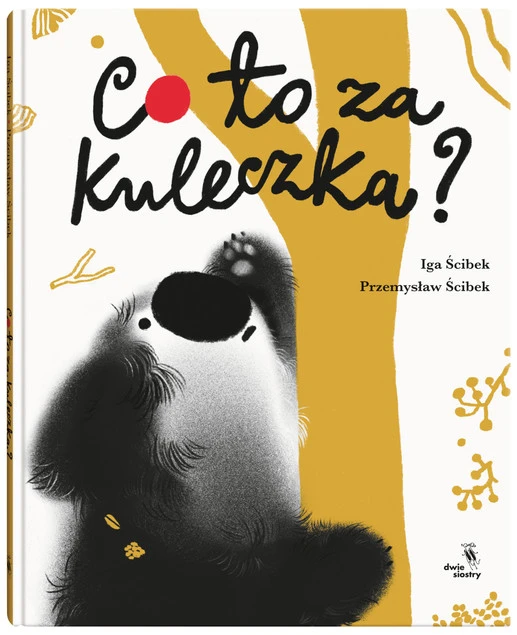Co to za kuleczka? Iga Ścibek, Przemysław Ścibek