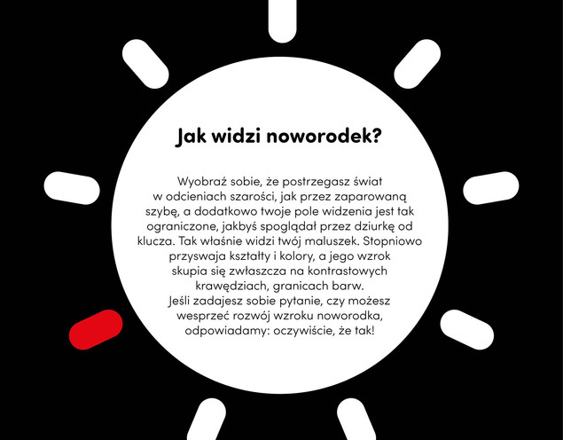 Kontrastowe książeczki i karty CzuCzu Starter Malucha Co widzę?