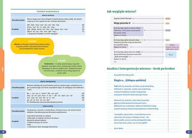 Nowe Repetytorium. Język polski. Szkoła podstawowa. Klasy 7-8