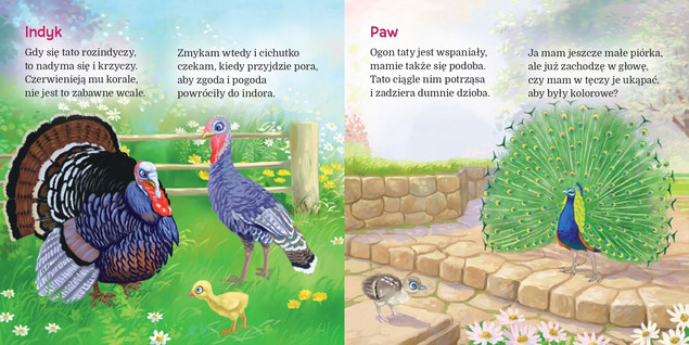 Podwórko Paw W Europie Ewa Stadtmüller Bajki i Wierszyki 2+ Skrzat (TW)