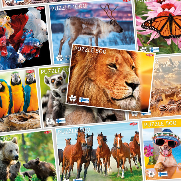 Puzzle Tactic African Lion 500 elementów Lew Afrykański