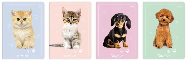 Zeszyt A5 16 kartkowy trzylinia kolorowa pieski kotki Puppy Sign Interdruk_1