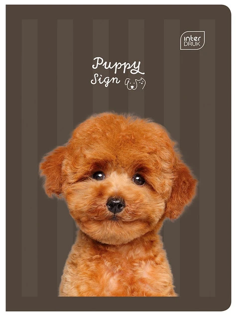 Zeszyt A5 16 kartkowy trzylinia kolorowa pieski kotki Puppy Sign Interdruk_7