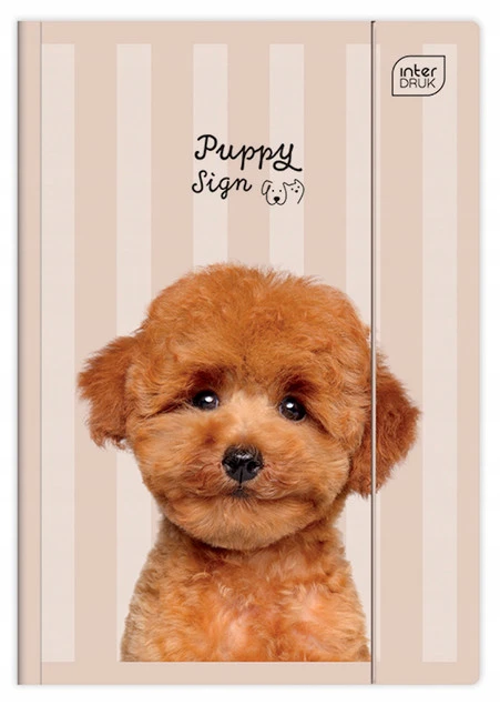 Teczka Z Gumką A4+ Lux UV Puppy Sign Interdruk Zwierzęta_1