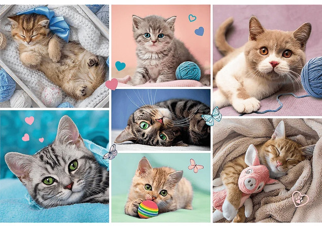 Puzzle 100 Układanka Kotki KOTY Koci Świat Kocięta Kot 5+ Trefl 16420