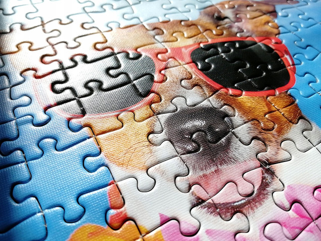 Tactic Puzzle 500 el. Psie Wakacje na Całego – Relaks dla Rodziny