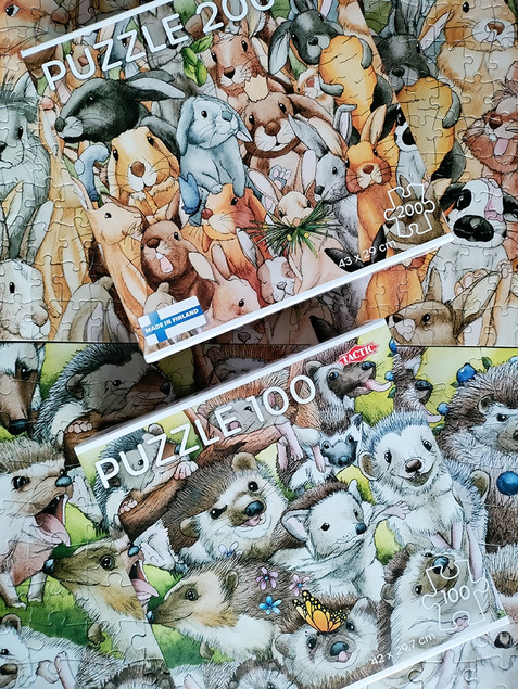 Puzzle Tactic 100 Jeże (Hedgehogs)