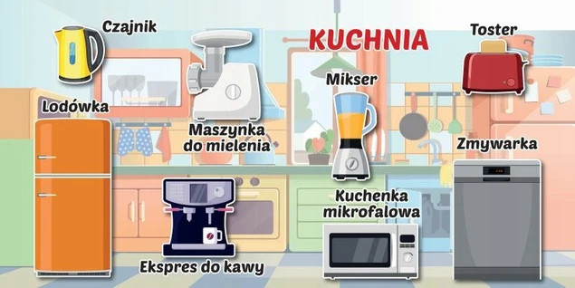 Sprzęty w domu Praca zbiorowa_3
