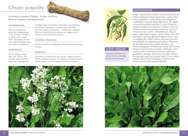 Atlas DZIKICH KWIATÓW 90 Roślin Zielne Krzewinki Krzewy Drzewa SBM (TW)