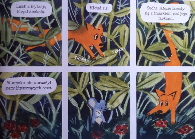 Malutki lisek i wielki dzik tom 6 Okropieństwo Berenika Kołomycka