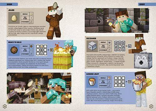 Minecraft Podręcznik Wojownika Craig Jelley 8+ HarperKids
