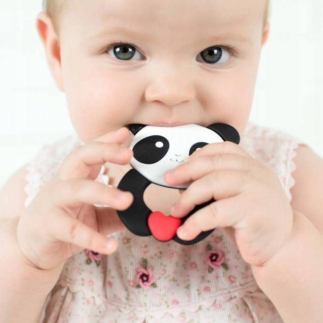 Gryzak Silikonowy Miś Panda na ząbkowanie 0M+ - Akuku